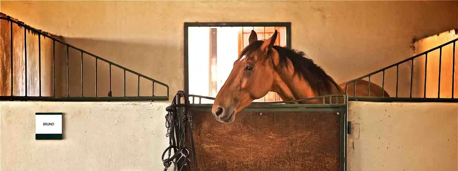 The Ritz-Carlton Ras Al Khaimah, Al Wadi Desert-1